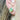 Mojito Mint Chrysoprase Round Stud Earrings.