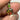 Jurassic Ammolite Pendant with Chrome Diopside.