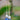 Long Kyanite Drop Earrings - OpalOra Jewelry