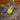 Midsummer Glow Opal Pendant 14K Gold - OpalOra Jewelry