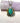 Sunswept Lightning Ridge Black Sunburst Pendant - OpalOra Jewelry
